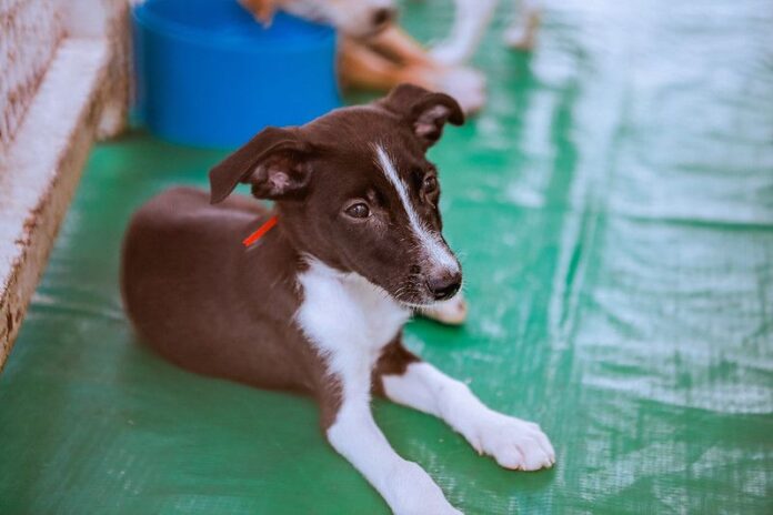 33E80255-0D50-4E68-ACB7-CB476600539C