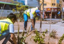 Após retomada da gestão municipal, Praça do Rosário, em Caruaru, passa por revitalização no paisagismo