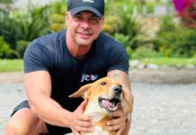 Solicitação de Anderson Correia é atendida e Caruaru vai iniciar cadastro de ONGs e protetores de animais