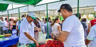 Em Caruaru, Feiras de bairro funcionarão normalmente durante o Carnaval; coleta domiciliar de lixo também