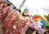 Desfile dos Papangus toma as ruas de Bezerros e reafirma tradição centenária do Carnaval pernambucano