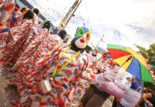 Desfile dos Papangus toma as ruas de Bezerros e reafirma tradição centenária do Carnaval pernambucano