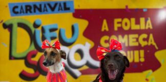 Shopping Difusora realiza fim de semana carnavalesco e bloCão em parceria com Anderson Correia