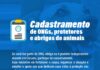 Prefeitura de Caruaru abre cadastramento para ONGs, abrigos e protetores de animais