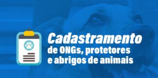 Prefeitura de Caruaru abre cadastramento para ONGs, abrigos e protetores de animais