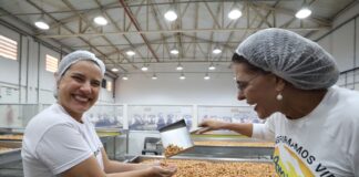 Pernambuco tem maior crescimento econômico do Brasil no início de 2026