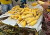 Feira do Milho, em Caruaru, está com inscrições abertas para comercialização em novo espaço
