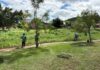 Prefeitura de Caruaru intensifica ações de manutenção e reforça compromisso com a preservação dos Parques Ecológicos