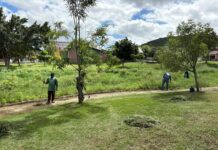 Prefeitura de Caruaru intensifica ações de manutenção e reforça compromisso com a preservação dos Parques Ecológicos