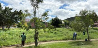 Prefeitura de Caruaru intensifica ações de manutenção e reforça compromisso com a preservação dos Parques Ecológicos