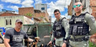 Como Anderson Correia se tornou o pioneiro e a principal referência no combate aos maus-tratos em Pernambuco