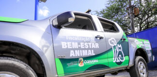Prefeitura de Caruaru lança Disque-Denúncia para fortalecer o combate aos maus-tratos a animais