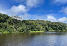 Prefeitura de Caruaru promove programação especial no Parque Natural Municipal neste domingo (19)