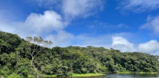 Prefeitura de Caruaru promove programação especial no Parque Natural Municipal neste domingo (19)