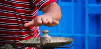 Documentário “Andam Contando Segredos nas Pontas dos Dedos” retrata feira livre de Catende