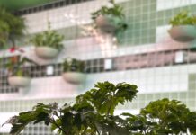 Projeto de Letramento Ambiental estimula estudantes a refletir sobre o cuidado com o meio ambiente