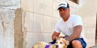 Anderson Correia reforça fiscalização, combate aos maus-tratos e atendimento à população durante ponto facultativo em Caruaru
