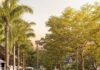 Caruaru vai ganhar uma praça na Avenida Oswaldo Cruz