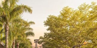 Caruaru vai ganhar uma praça na Avenida Oswaldo Cruz